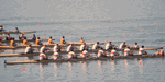 Canada took home gold in the men's 8+ followed by the US men for silver. Courtesy of Mike Modlin - Click for full-size image!